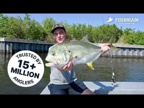 Herunterladen Fishbrain - Fishing App Sport für Android Bildschirmfoto 8