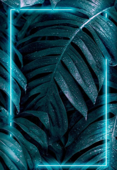 Herunterladen Samsung Galaxy S23 Ultra Unterhaltung für Android Bildschirmfoto 4