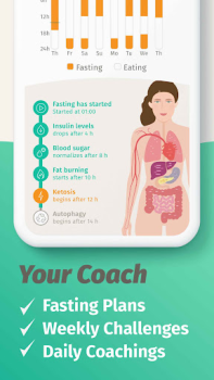 Herunterladen BodyFast Intervallfasten Gesundheit & Fitness für Android Bildschirmfoto 4