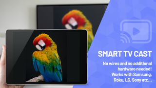 Herunterladen Smart TV Cast Screen Mirroring Werkzeuge für Android Bildschirmfoto 4