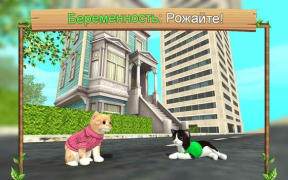 Herunterladen Katzen-Simulator Online Simulatoren für Android Bildschirmfoto 3