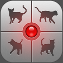 Herunterladen  Katzenrufe - Spiel mit deiner