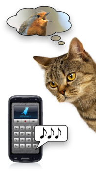 Herunterladen Katzenrufe - Spiel mit deiner Unterhaltung für Android Bildschirmfoto 3