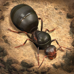 Logo The Ants: Underground Kingdom