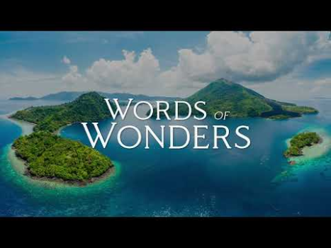 Herunterladen Words of Wonders: Wort-Puzzle Wort-Spiele für Android