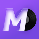 Herunterladen  MD Vinyl - Musikplayer-Widget