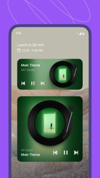 Herunterladen MD Vinyl - Musikplayer-Widget Musik und Audio für Android Bildschirmfoto 3