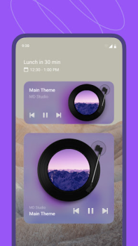 Herunterladen MD Vinyl - Musikplayer-Widget Musik und Audio für Android Bildschirmfoto 4