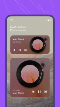 Herunterladen MD Vinyl - Musikplayer-Widget Musik und Audio für Android Bildschirmfoto 5
