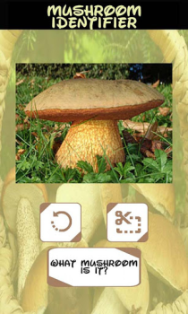 Herunterladen Pilz-Identifikator Unterhaltung für Android Bildschirmfoto 3