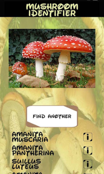 Herunterladen Pilz-Identifikator Unterhaltung für Android Bildschirmfoto 7