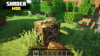 Herunterladen Realistic Shader Mod Minecraft Unterhaltung für Android Bildschirmfoto 2