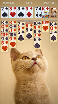 Herunterladen Solitaire Classic Kartenspiele für Android Bildschirmfoto 6