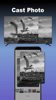 Herunterladen Bildschirmspiegel für Smart TV Video-Player und -Editoren für Android Bildschirmfoto 5