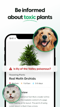 Herunterladen Plant App - Pflanzenfinder Bildung für Android Bildschirmfoto 4