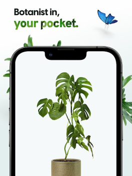 Herunterladen Plant App - Pflanzenfinder Bildung für Android Bildschirmfoto 7