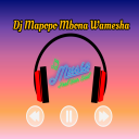 Herunterladen  DJ Mapopo mbona Syalala Remix