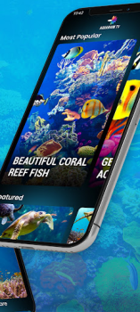 Herunterladen Aquariums TV Foto für Android Bildschirmfoto 3