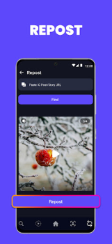 Herunterladen Luyo - Analytics for Instagram Soziales für Android Bildschirmfoto 5