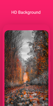 Herunterladen wallcraft live wallpaper Personalisierung für Android Bildschirmfoto 4