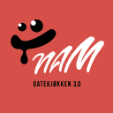 Herunterladen  Nam