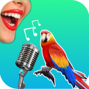 Herunterladen  Bird Translator Simulator App