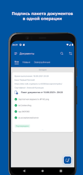 Herunterladen DSS Client Werkzeuge für Android Bildschirmfoto 3