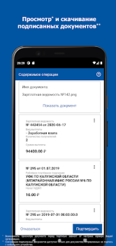 Herunterladen DSS Client Werkzeuge für Android Bildschirmfoto 6