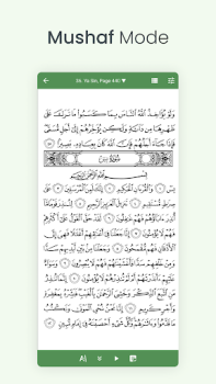 Herunterladen Qurān (Tafsīr & Wort-für-Wort) Bücher und Leitfäden für Android Bildschirmfoto 3