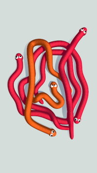 Herunterladen Tangled Snakes Puzzle-Spiele für Android Bildschirmfoto 6