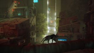Herunterladen Stray Cat Simulator Mobile Simulatoren für Android Bildschirmfoto 2