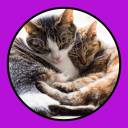 Herunterladen  Katzen Clicker Training Light