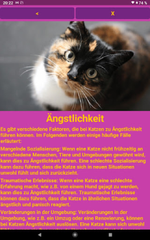 Herunterladen Katzen Clicker Training Light Wohnung und Haus für Android Bildschirmfoto 7
