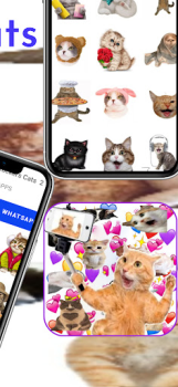 Herunterladen WAStickerApps Aufkleber Katzen Kommunikation für Android Bildschirmfoto 4