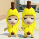 Herunterladen  Banana Cat