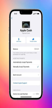 Herunterladen Apple Pay for Androids Personalisierung für Android Bildschirmfoto 5