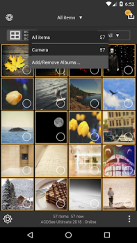 Herunterladen ACDSee Mobile Sync Foto für Android Bildschirmfoto 5