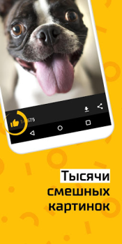 Herunterladen АйДаПрикол Unterhaltung für Android Bildschirmfoto 2