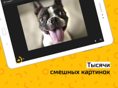Herunterladen АйДаПрикол Unterhaltung für Android Bildschirmfoto 6