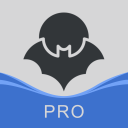 Herunterladen  HaloVPN Pro: Fast VPN Proxy