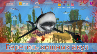 Herunterladen Jagd Speer. Tauchen. Sport Spiele für Android Bildschirmfoto 2