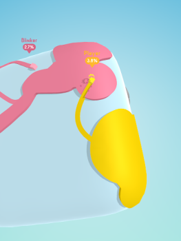 Herunterladen Paper.io 3D Arkade für Android Bildschirmfoto 7