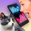Herunterladen  Katzen Übersetzer Sprechen