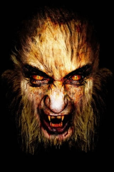 Herunterladen Scary Video Maker Unterhaltung für Android Bildschirmfoto 2