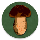 Herunterladen  Book of Mushrooms