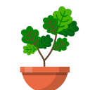 Herunterladen  Terrarium: Garden Idle