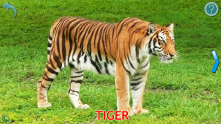 Herunterladen Kinder Tiere - Tiergeräusche Lernen für Android Bildschirmfoto 2