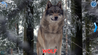 Herunterladen Kinder Tiere - Tiergeräusche Lernen für Android Bildschirmfoto 4