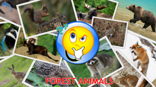 Herunterladen Kinder Tiere - Tiergeräusche Lernen für Android Bildschirmfoto 5