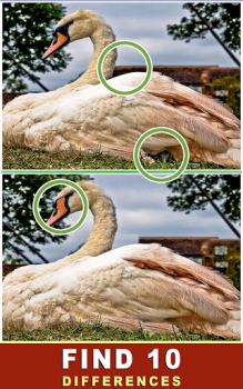 Herunterladen Unterschiede finden Puzzle-Spiele für Android Bildschirmfoto 2